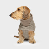 Dachshund Coat Brooklyn Tweed Beige