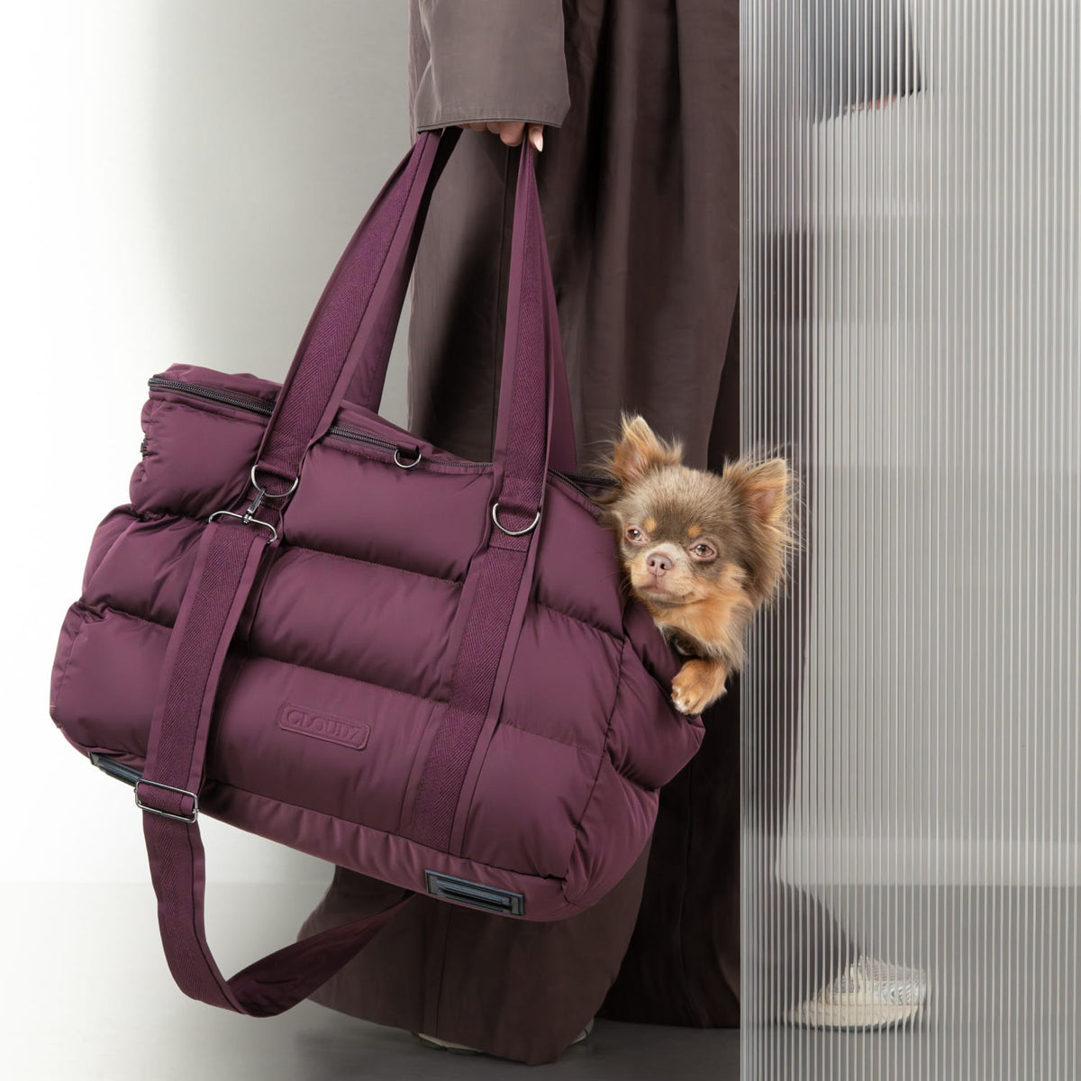 Hundetasche Montreal 2.0 Aubergine