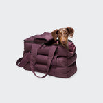 Vor einem schlichten hellgrauen Hintergrund sitzt ein braun-weißer Welpe in der „Hundetasche Montreal 2.0 Aubergine“, einer violetten, gepolsterten Tasche mit Tragegriffen, die gleichzeitig als gemütliche Tragetasche für kleine Hunde dient.