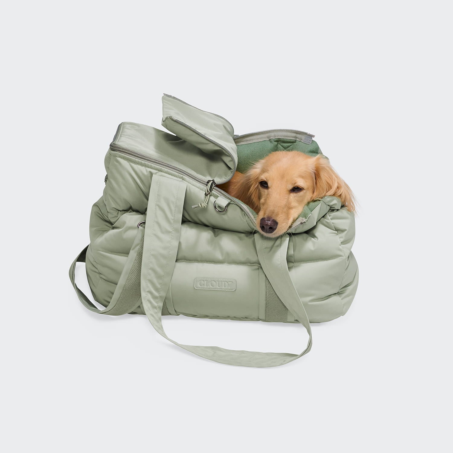 Ein kleiner hellbrauner Hund hat seinen Kopf auf den Rand einer weichen Hundetasche „Montreal 2.0 Dusty Mint“ mit Reißverschlüssen und langen Trageriemen vor einem weißen Hintergrund gelegt.