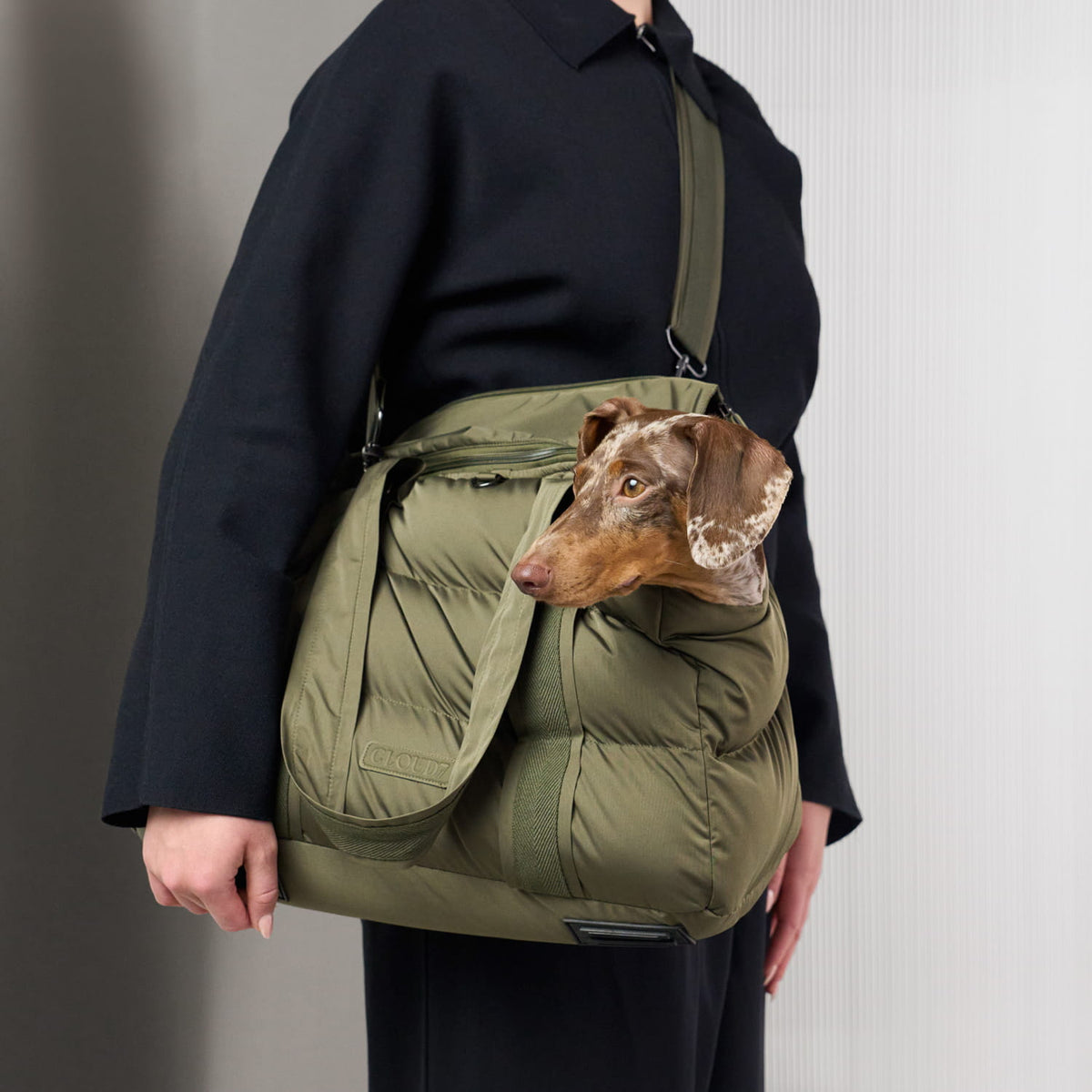 Hundetasche Montreal 2.0 Light Olive