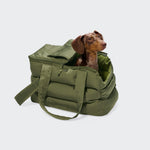 Ein brauner Dackel sitzt in einer offenen, grünen, gepolsterten Hundetasche „Montreal 2.0 Light Olive“ mit Tragegriffen vor einem einfarbigen hellgrauen Hintergrund.