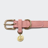 Dog Collar Tiergarten Peach