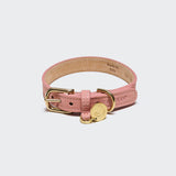 Das Hundehalsband „Tiergarten Peach“, ein rosa Hundehalsband aus Nubukleder mit einer goldenen Schnalle und einer runden Messing-Erkennungsmarke, wird vor einem hellen Hintergrund präsentiert.