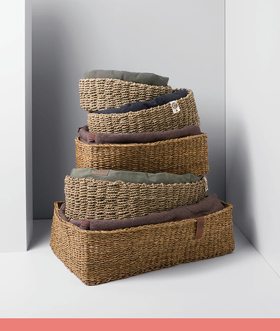 all dog baskets category link image