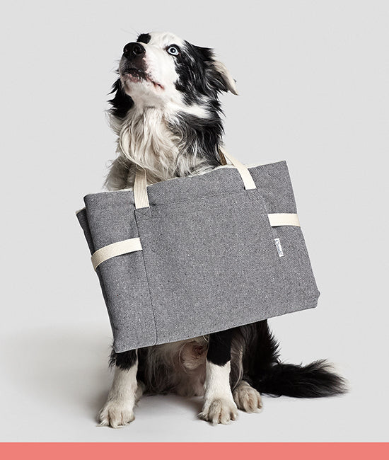 all dog travel beds category link image