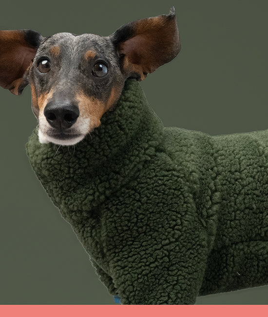 all dog sweaters category link image