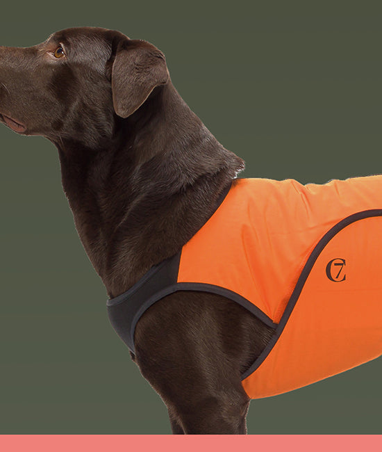 all dog cooling vests category link image