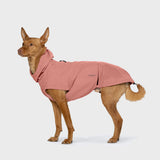 Hunderegenmantel Dublin 2.0 Faded Rose