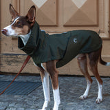 Dog wearing rain coat Dublin in dark olive