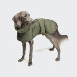 Dog Coat Everest Light Olive