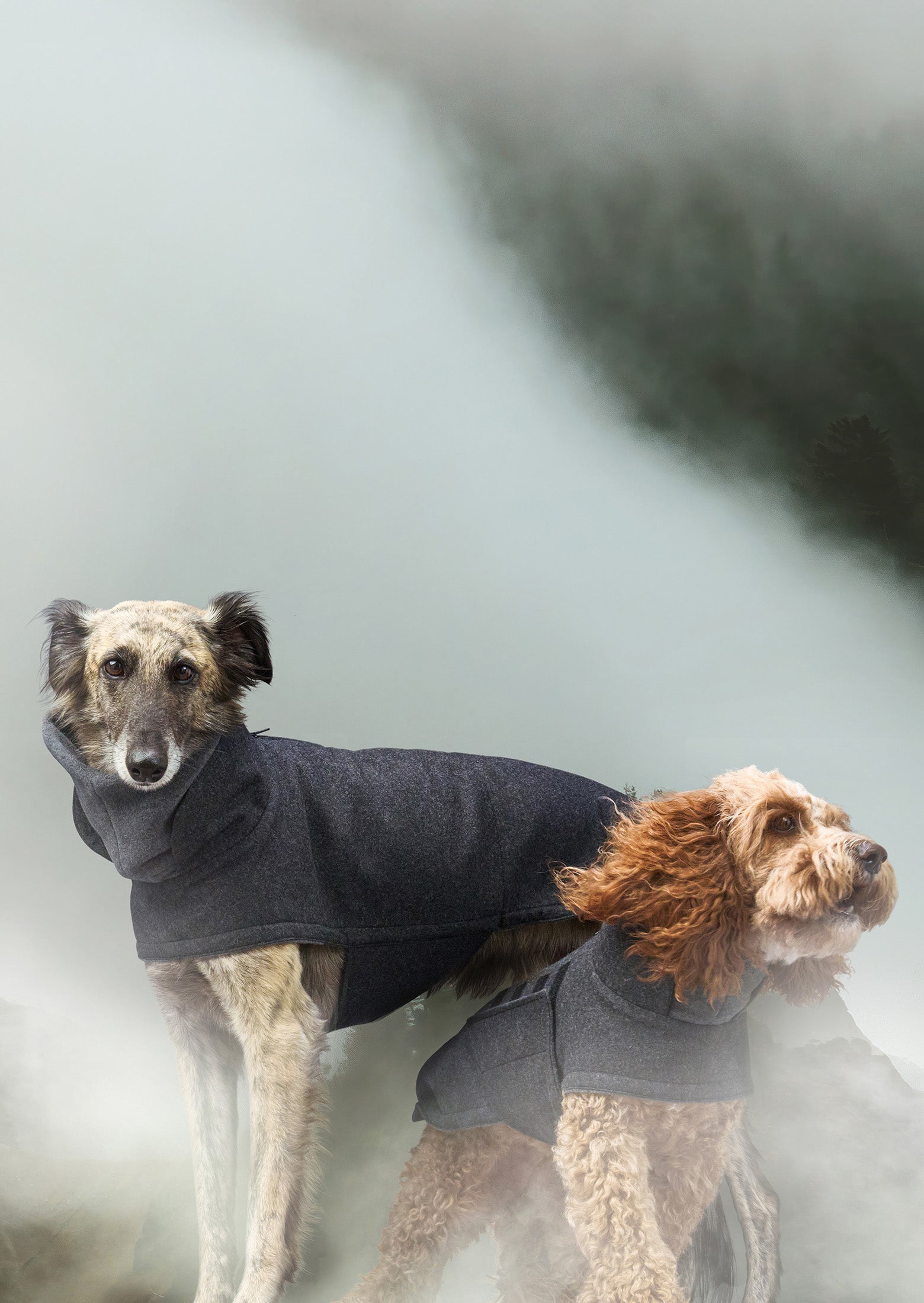 Warm Dog Coats With Harness Hole CLOUD7