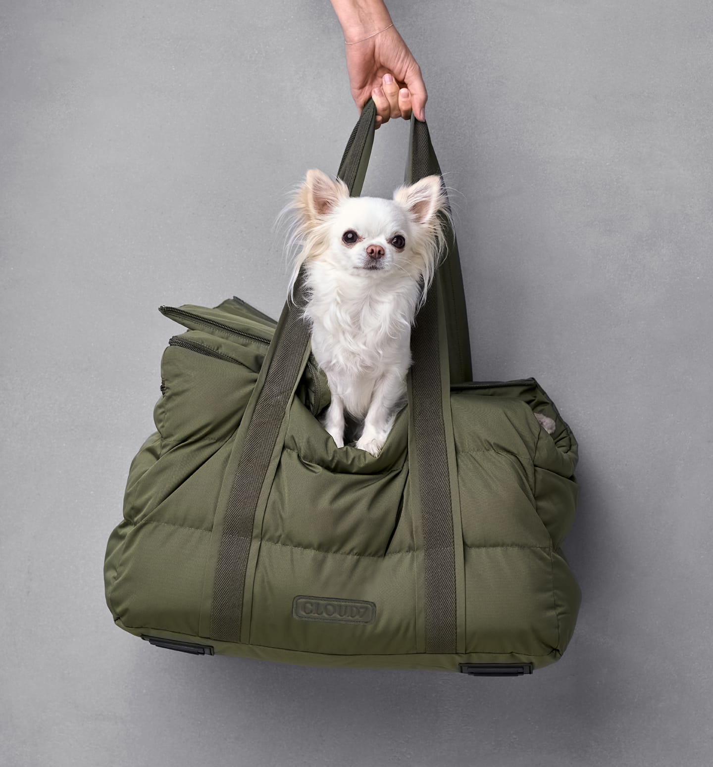 CLOUD7 - Buy high-quality & stylish products for your dog