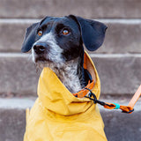 Dog Raincoat Helgoland Yellow