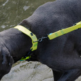 Dog Collar BioThane Ipanema Neon Yellow-Aqua