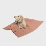 CLOUD7_ Ein kleiner, heller Welpe liegt auf einer gesteppten Hundedecke LTTL Dusty Rose vor einem schlichten weißen Hintergrund und schaut nach oben und zur Seite.