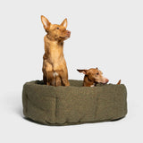 Hundekissen Lazy Mélange Olive