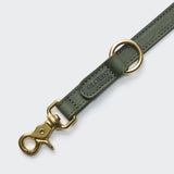 Dog Leash Tiergarten Moss