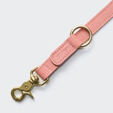 Dog Leash Tiergarten Peach