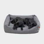 Zwei schwarze Hunde auf einem „Outdoor Hundebett Sleepy Deluxe Light Graphite“.
