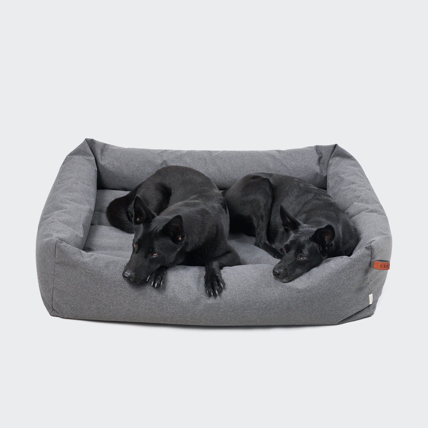 Zwei schwarze Hunde auf einem „Outdoor Hundebett Sleepy Deluxe Light Graphite“.