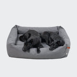 Zwei schwarze Hunde auf einem „Outdoor Hundebett Sleepy Deluxe Light Graphite“.