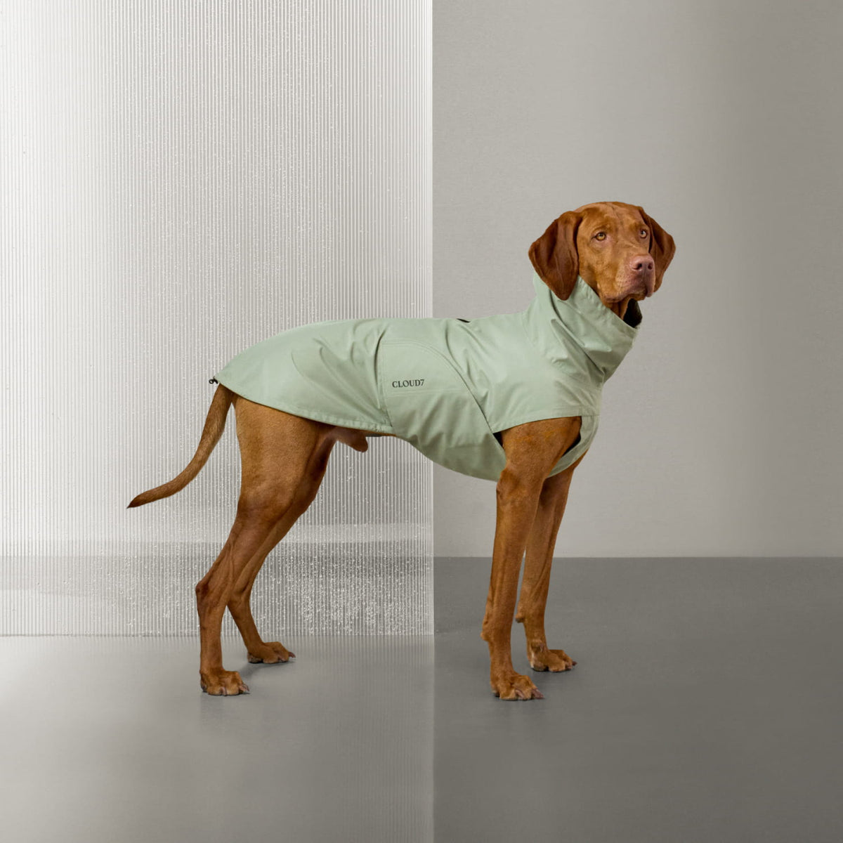 Dog Raincoat Dublin 2.0 Dusty Mint