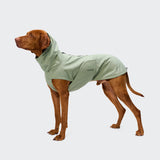 Ein brauner Hund, der den Hunderegenmantel „Dublin 2.0 Dusty Mint“ trägt, steht vor einem einfarbigen hellgrauen Hintergrund und blickt nach oben und leicht nach links.