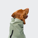 Dog Raincoat Dublin 2.0 Dusty Mint