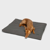 Outdoor Dog Bed Siesta Light Graphite