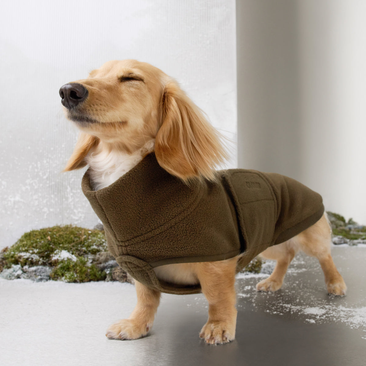 Dachshund Sweater Derby 2.0 Coffee