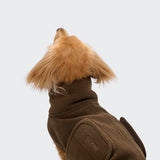Dachshund Sweater Derby 2.0 Coffee