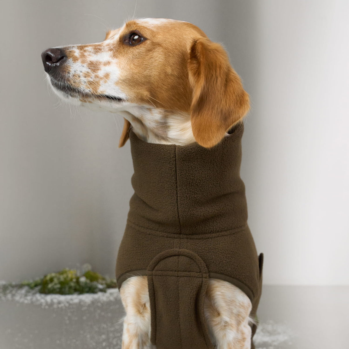 Dog Sweater Derby 2.0 Coffee