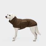 Ein weißer Hund, der den Hundepullover „Derby 2.0 Coffee“ trägt – einen braunen Fleecepullover mit praktischem Bauchschutz –, steht mit Blick nach links vor einem einfarbigen hellgrauen Hintergrund.