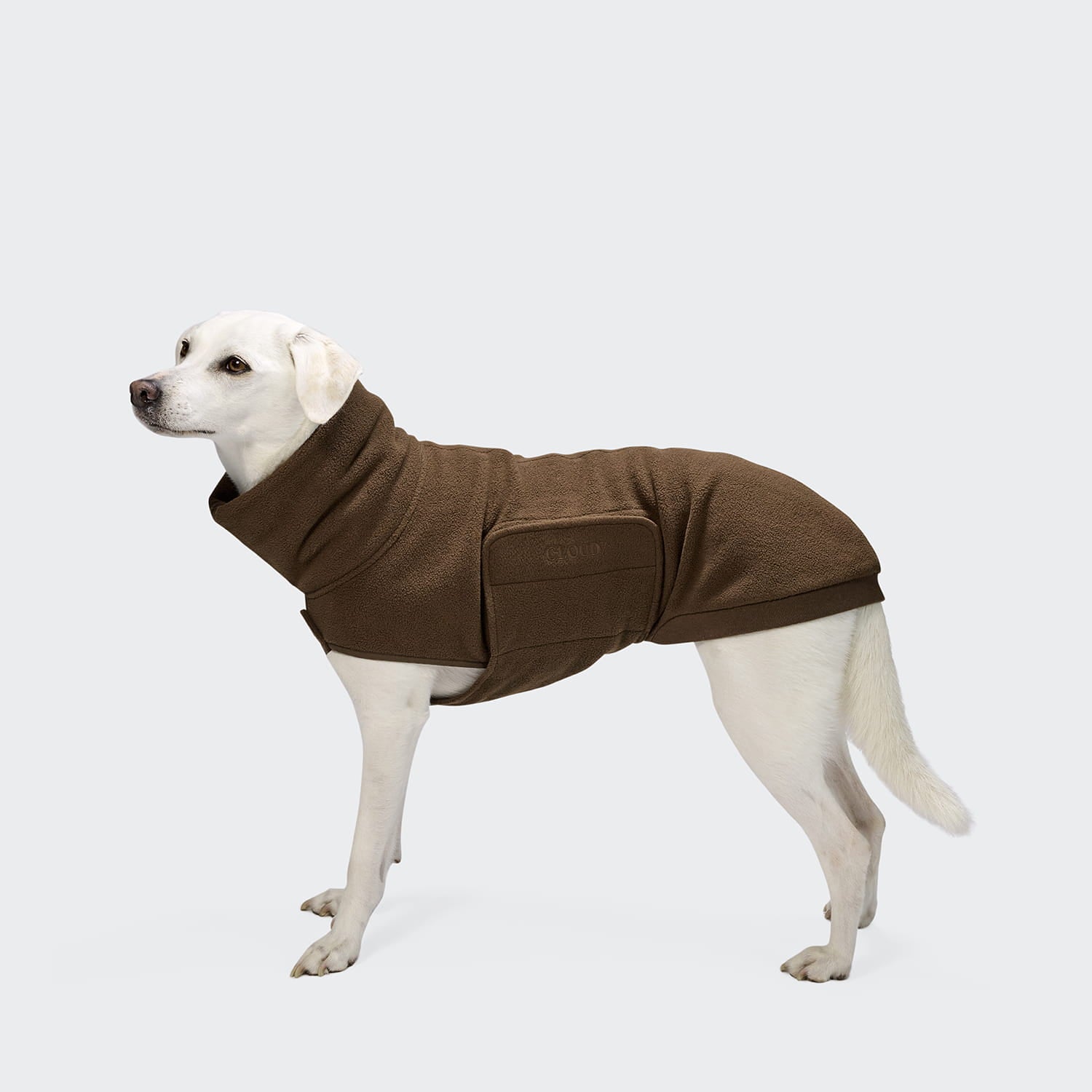 Ein weißer Hund, der den Hundepullover „Derby 2.0 Coffee“ trägt – einen braunen Fleecepullover mit praktischem Bauchschutz –, steht mit Blick nach links vor einem einfarbigen hellgrauen Hintergrund.