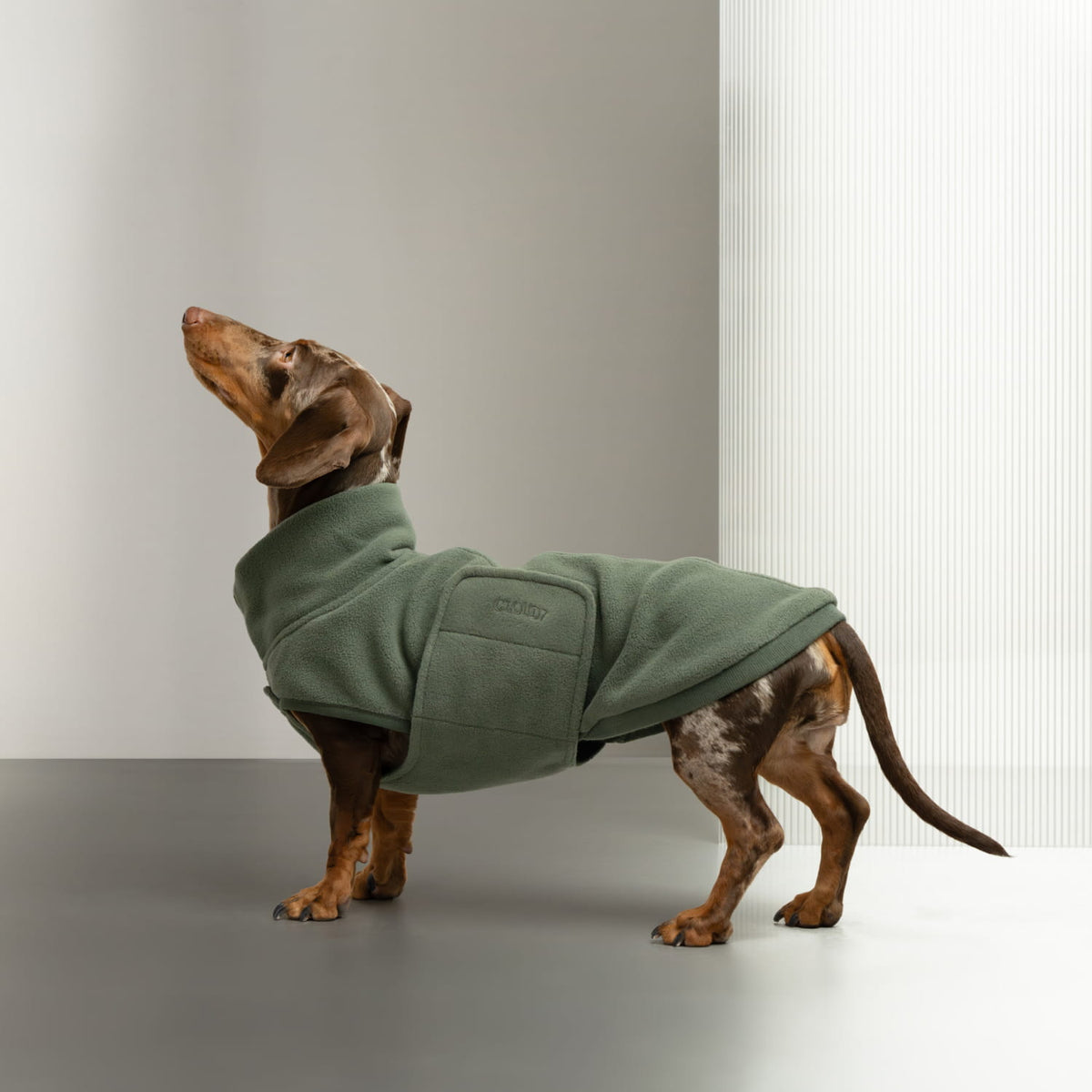 Dachshund Sweater Derby 2.0 Khaki