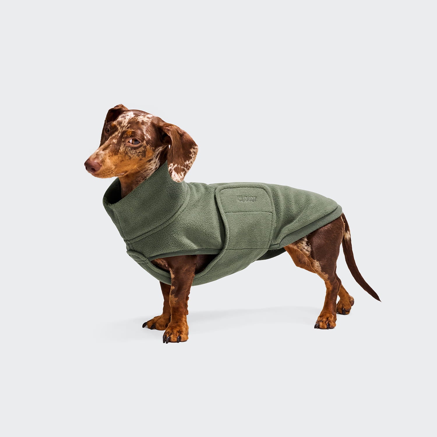 Ein brauner Kaninchendackel mit gesprenkeltem Fell steht vor einem hellen Hintergrund und trägt den Hundepullover „Dackel Derby 2.0“ in Khaki.