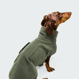 Dachshund Sweater Derby 2.0 Khaki