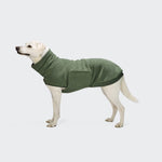 Ein gelber Labrador Retriever, der den „Derby 2.0“-Hundepullover in Khaki aus recyceltem Fleece trägt, steht auf einem hellgrauen Hintergrund und blickt nach links.