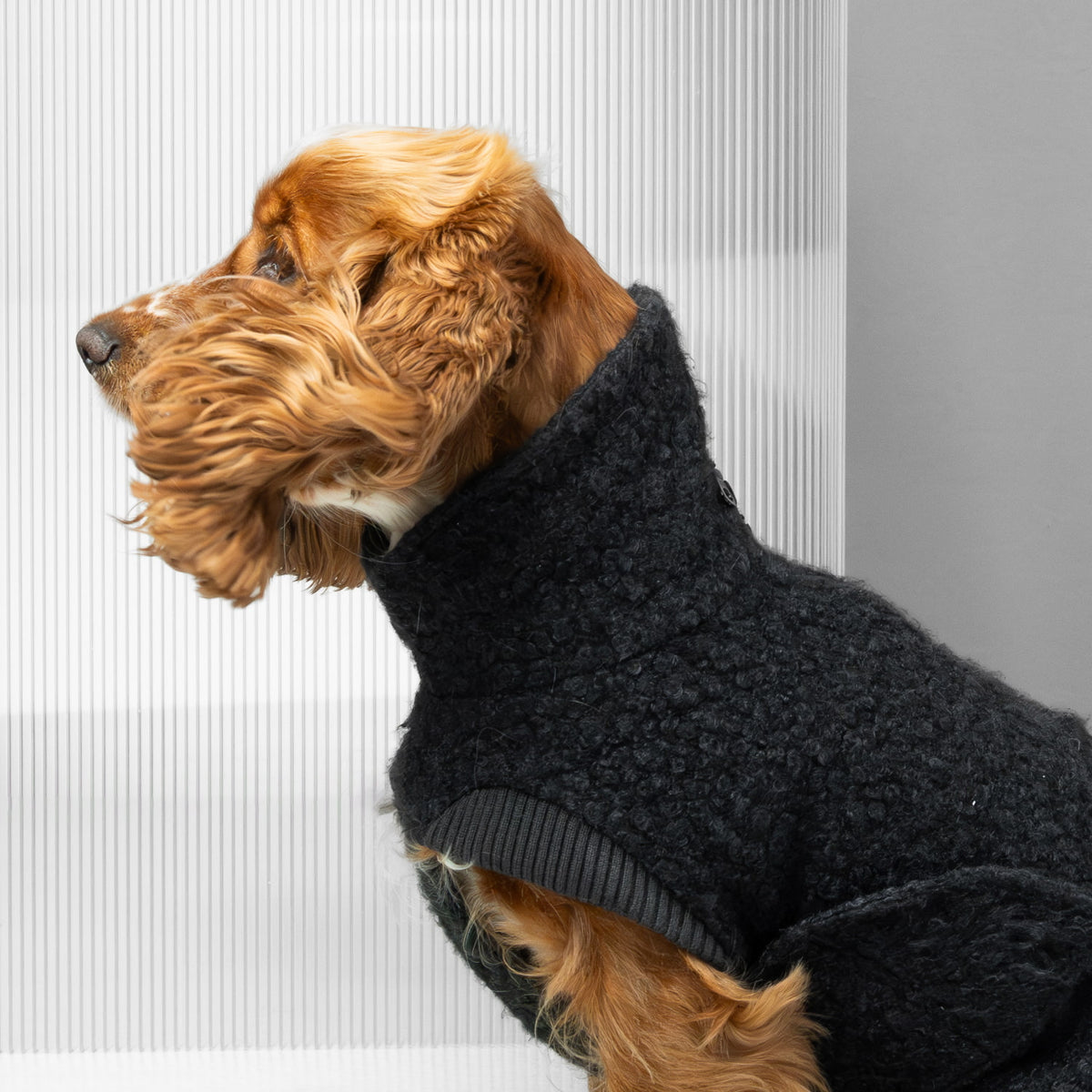 Dog Sweater Gotland Anthra