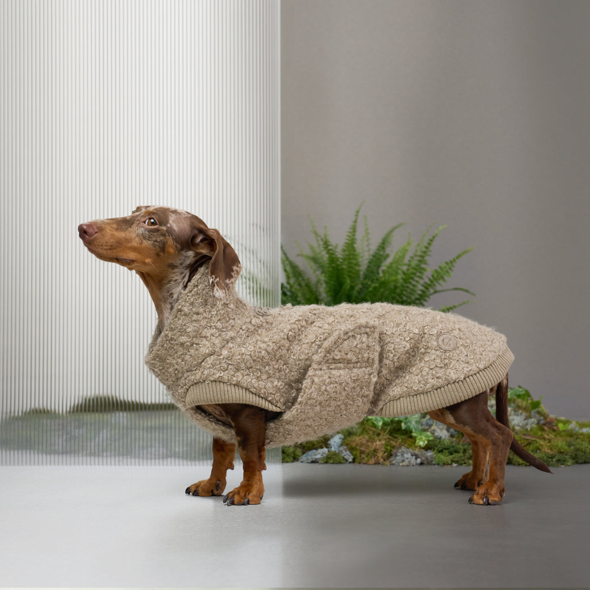 Dachshund Sweater Gotland Sandy Brown