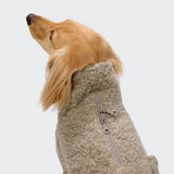 Dachshund Sweater Gotland Sandy Brown