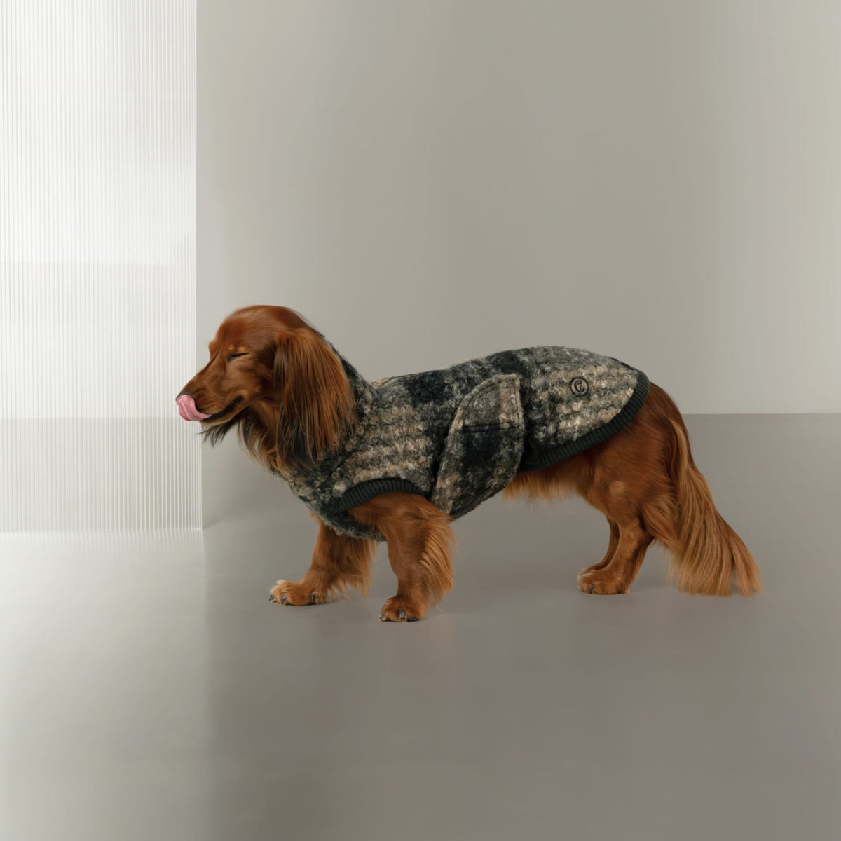 Dachshund Sweater Gotland Tartan