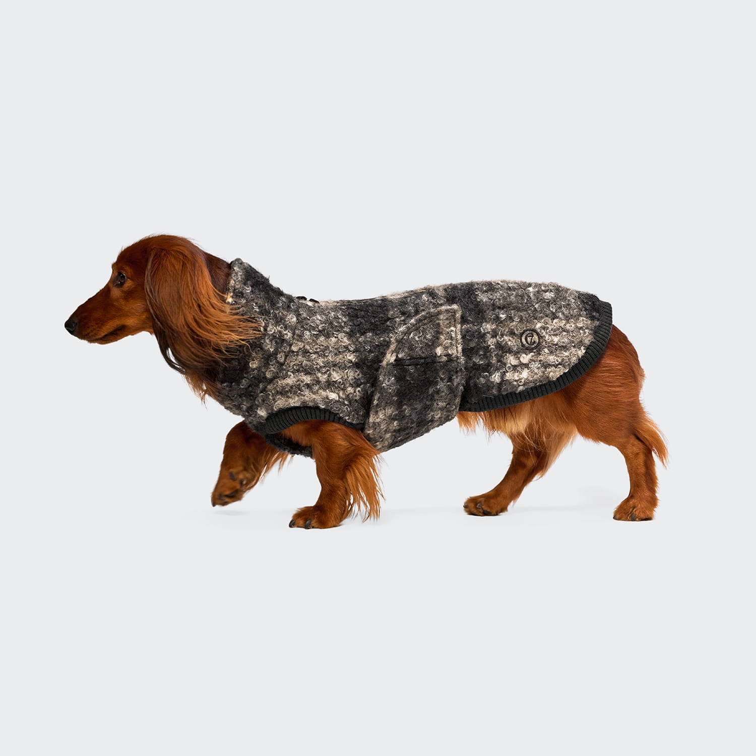 Ein brauner Dackel, der den Hundepullover „Dackel Gotland Tartan“ mit Tasche trägt, läuft vor einem schlichten weißen Hintergrund nach links.
