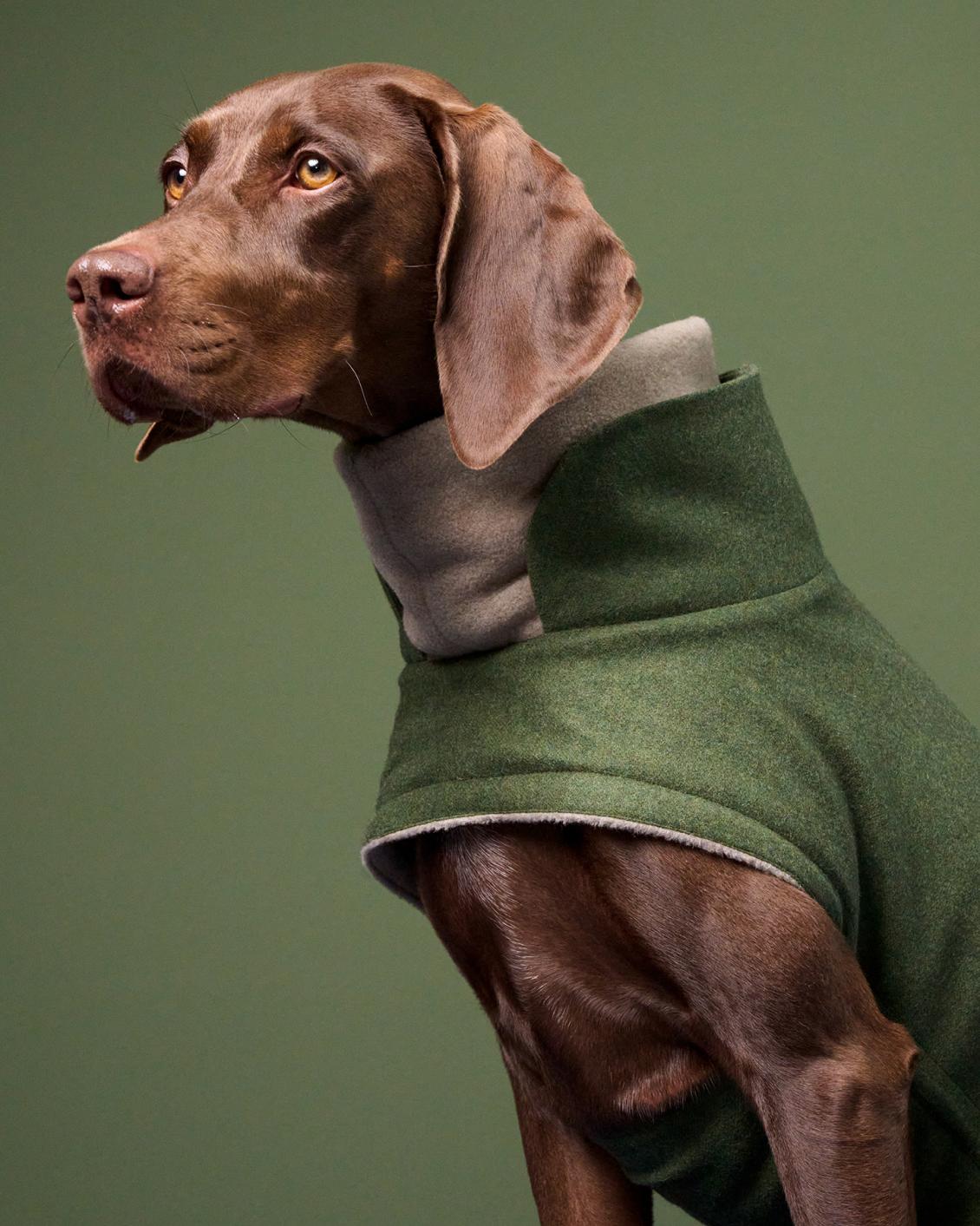 Alles fur groBe Hund CLOUD7