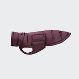 Dachshund Coat Alaska Dark Aubergine