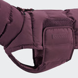 Dachshund Coat Alaska Dark Aubergine