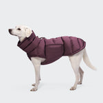 Ein weißer Hund steht da und trägt den Hundemantel „Alaska Dark Aubergine“, eine bauschige Jacke, die seinen Hals, seinen Rücken und seine Seiten bedeckt. Dieses stilvolle Kleidungsstück für Hunde sorgt für Wärme und Komfort. Der Hintergrund ist einfarbig hellgrau.