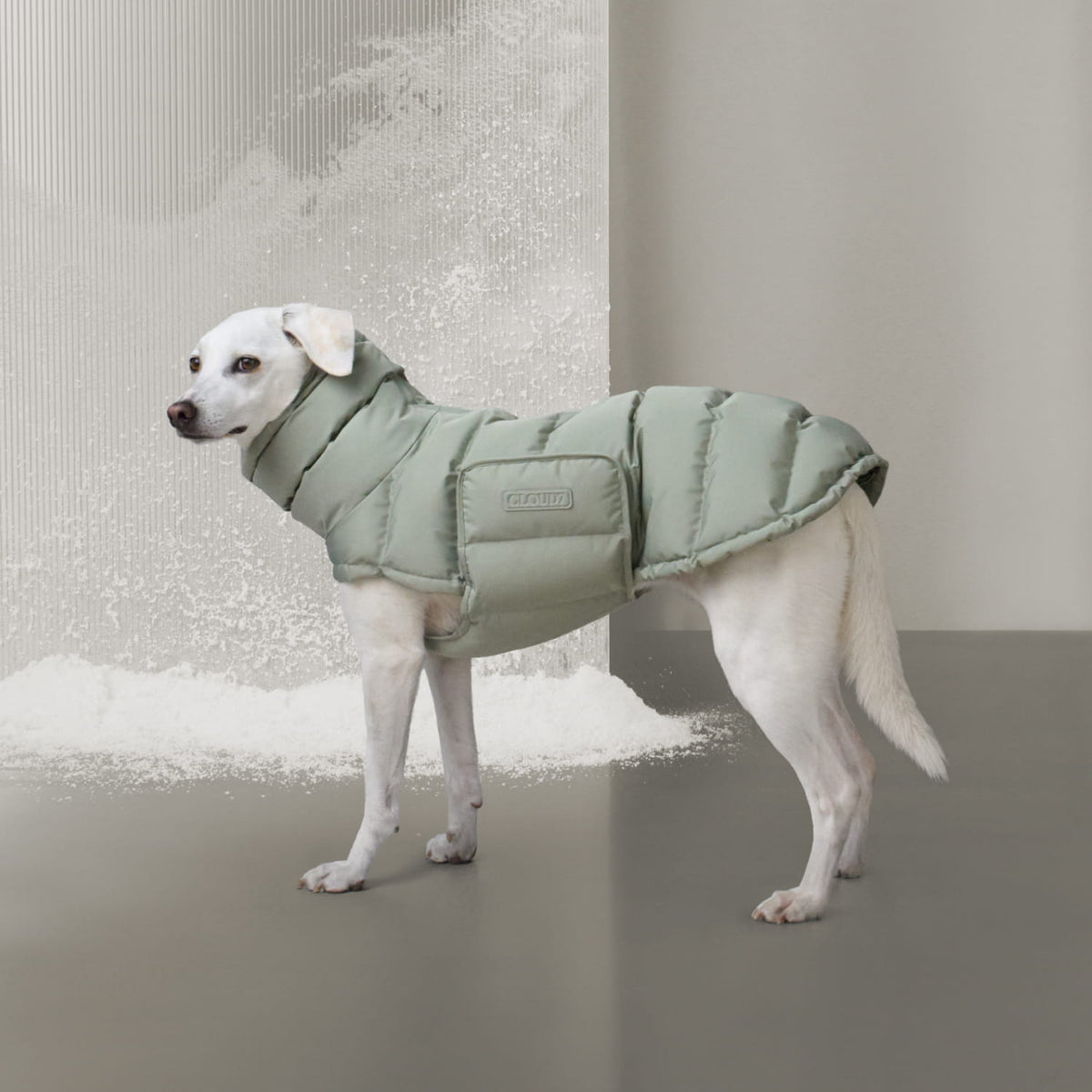 Dog Coat Alaska Dusty Mint