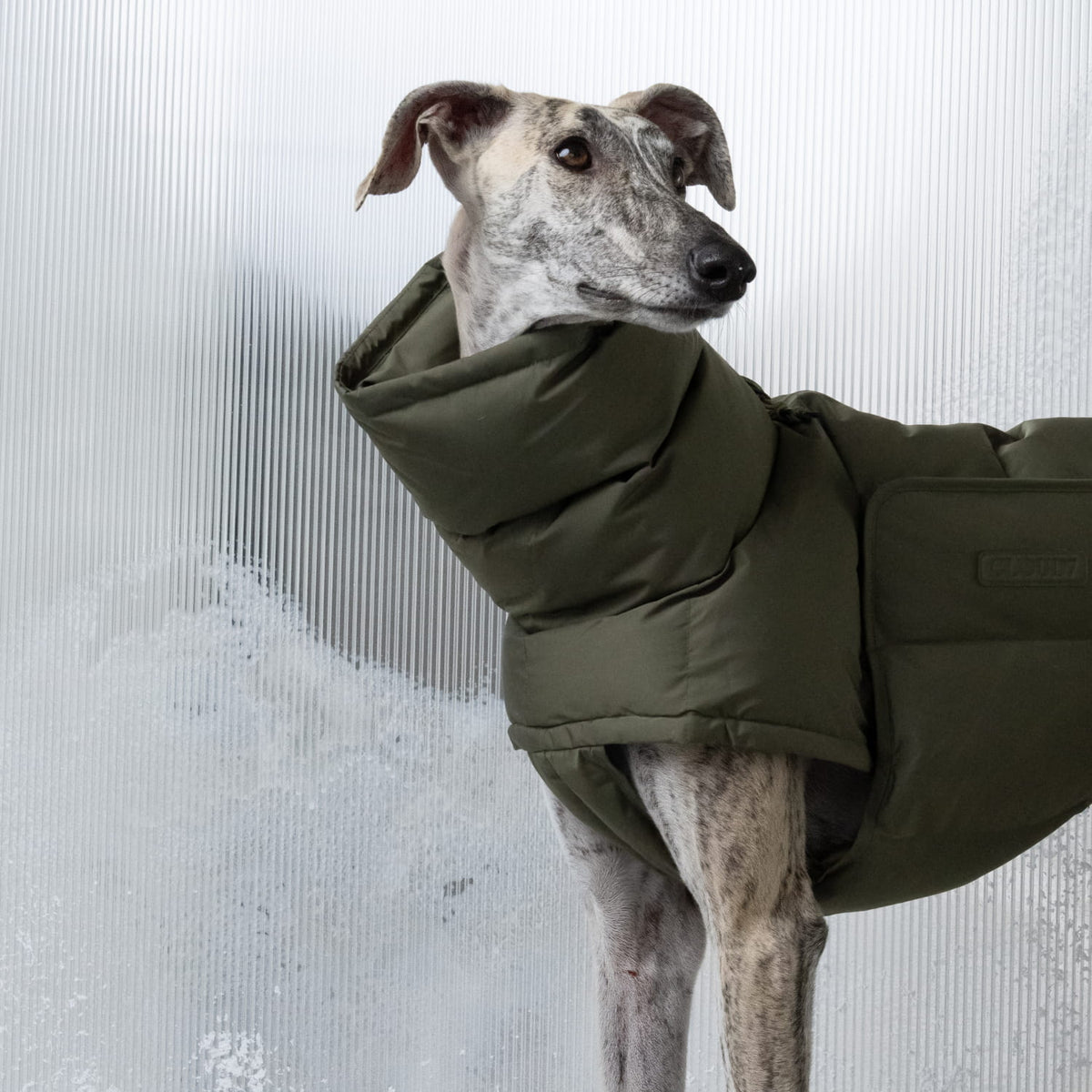 Dog Coat Alaska Light Olive